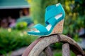 Bright shoes, women's sandals, shoes in the garden