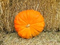 Bright and showy isolated decorative pumpkin on bale of hay background close up.