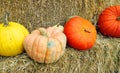 Bright and showy isolated decorative pumpkins on bale of hay background close up.