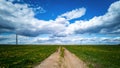 Bright sky with clouds over the road.Empty road through a field with dandelions Royalty Free Stock Photo