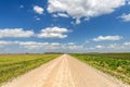 Bright sky framing dirt road Royalty Free Stock Photo