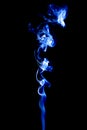 Bright smoke abstract photo, isolated on black background