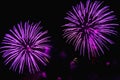 Bright sparkling fireworks purple and gold on the night sky. Royalty Free Stock Photo