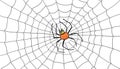 Bright spider on its cobweb