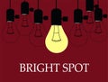 Bright Spot Light Bulb