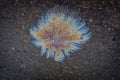 A bright spot of oil or gasoline spray on the pavement after rain Royalty Free Stock Photo