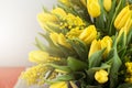 Bright spring bouquet of tulips and mimosa flowers Royalty Free Stock Photo