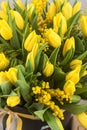 Bright spring bouquet of tulips and mimosa flowers Royalty Free Stock Photo