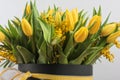 Bright spring bouquet of tulips and mimosa flowers Royalty Free Stock Photo