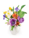 Bright spring bouquet in a white vase. spring flowers, daffodils, tulips, hyacinths, irises and mimosa isolated on a Royalty Free Stock Photo