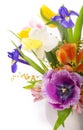 Bright spring bouquet in a white vase. spring flowers, daffodils, tulips, hyacinths, irises and mimosa isolated on a Royalty Free Stock Photo