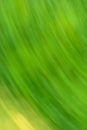 Bright spring defocused. Green abstract spring background Royalty Free Stock Photo