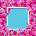 Bright spring design luxury flower frame with pink rose flowers on blue Royalty Free Stock Photo