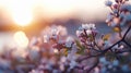 Bright spring easter sunrise background with copy space on blurred defocused backdrop