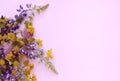 Bright spring flower arrangement. Lilac Alstroemeria and Irises, as well as yellow flowers of trolius europaeus on a white