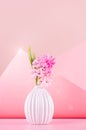 Bright spring hyacinth flowers in white ceramic vase in sun light with sun flare in elegant geometric contemporary pink space.