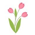 bright spring pink tulip art drawn flower