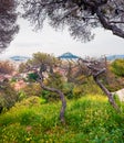 Bright spring view of Athens. Colorful morning scene of Greece, Europe. Treveling concept background. Artistic style post