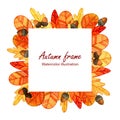 Bright square frame of autumn leaves and acorns.