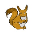 Bright squirrel sitting, vector cartoon