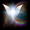 Bright star with white angel`s wings Royalty Free Stock Photo