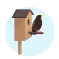 Bright starling bird on birdhouse in cartoon style