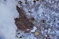 bright stream in the winter. ice snow water flows the stones algae