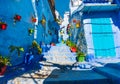 Chefchaouen street in Morocco with blue walls and colorful flowerpots