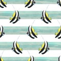 Bright, striped, black-and-white with yellow, triangular, tropical fish on a background of horizontal blue stripes Royalty Free Stock Photo