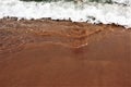 Bright structure of yellow-orange sand and sea surf. Background blank.