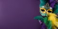 Bright stylish mask, beads and feathers, mardi gras background