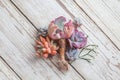 Bright succulent echeveria plants on white vintage wooden background