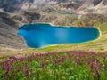 Bright summer azure mountain lake among black rocks. Blue alpine lake among sunlit black green rocky flower hills in highlands Royalty Free Stock Photo