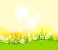 Bright summer background