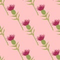 Bright summer botanic seamless pattern with burdock flowers. Pink and green colored stylized ornament on light pink background