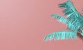 Bright summer colourful palm tree tropical background. 3D Rendering