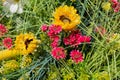 A bright summer composition flowers and juicy grass, the concept of garden care. Weeding the garden and vegetable garden