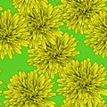 Bright summer dandelion flower seamless pattern