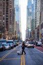 Man walking across center of new york city street Royalty Free Stock Photo