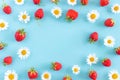 Bright summer frame made with natural chamomile flowers and strawberry on blue background with copy space for your design. Top