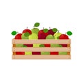 A bright summer illustration depicting a wooden box with ripe green and red apples. The harvested harvest of juicy Royalty Free Stock Photo