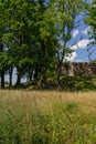 Bright summer landscape. Green grass, meadow, deciduous trees, sun Royalty Free Stock Photo