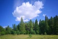 Summer landscape green meadow and forest in the background against the backdrop of a beautiful blue sky and white clouds Royalty Free Stock Photo