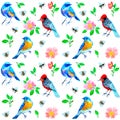 Summer pattern with birds, bees and roses on white background Royalty Free Stock Photo