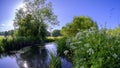 Bright summer\'s day on the river Meon at Droxford, Hampshire