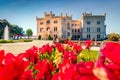 Bright summer view of Miramare Castle with blooming red tulip flowers on foreground