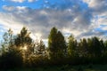 Bright sun behind the trees in the woods behind a field of grass, sits in the sunset over the horizon. Royalty Free Stock Photo