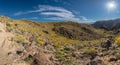 Bright Sun Burst Above Desert Bloom