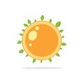 Bright sun design element featuring fresh green leaves in a simple and modern design Royalty Free Stock Photo