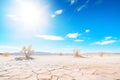 bright sun-filled blue sky over a desert hardiness zone Royalty Free Stock Photo